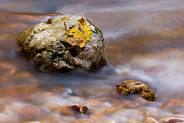 Sorgenti dell'Arzino