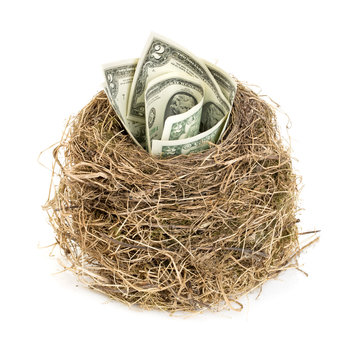 Original bird's nest with dollar bills. New business starting by banknotes. Business concept.