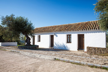 Traditional spanish house