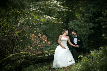 Beautiful wedding couple sitting in the woods