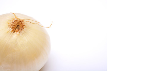 Onion close up banner graphics white background.