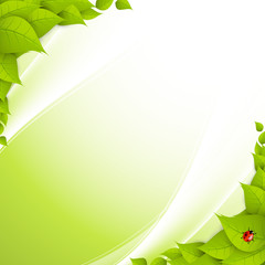 Shiny wave abstract background. Green color
