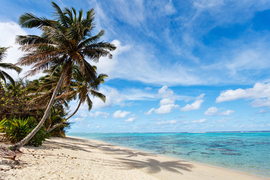 Fototapeta Beautiful tropical beach at exotic island in South Pacific