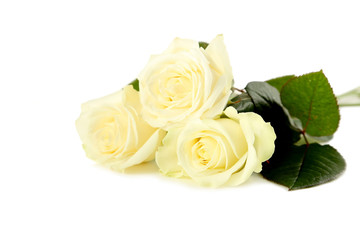Bouquet of white roses isolated on white