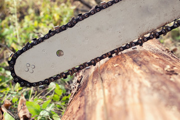 chainsaw blade cutting log of wood
