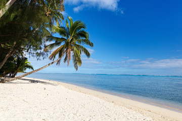 Beautiful tropical beach at exotic island in South Pacific