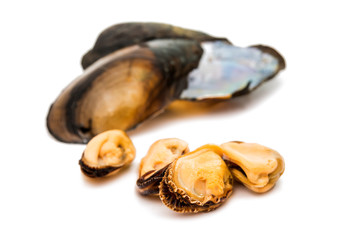 group of boiled mussels in shells isolated