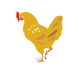 Vector illustration of yellow chicken