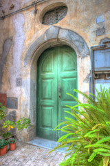Fototapeta na wymiar Porta Door