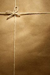 String bow on brown paper parcel