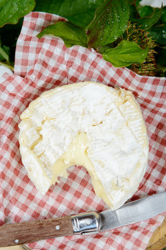 Camembert de Normandie placed on a tablecloth