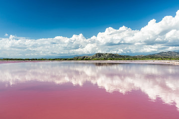 Landscape with Pink water salt lake in Dominican Republic - obrazy, fototapety, plakaty