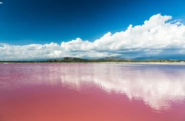 Pink water salt lake in Dominican Republic