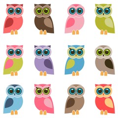 set of colorful owls and owlets