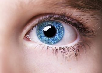 insightful look blue eyes boy