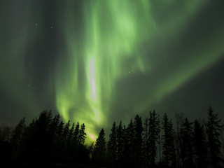Aurora Borealis (Northern lights) in Alberta, Canada