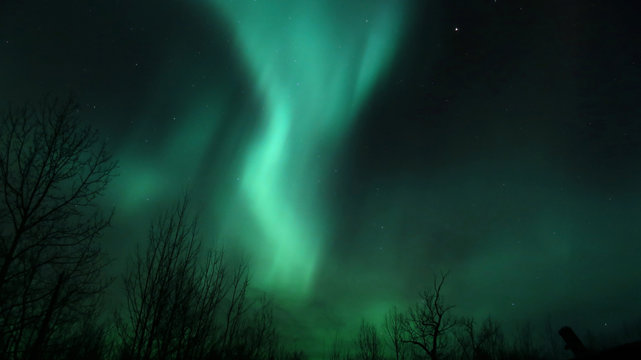 Aurora Borealis (Northern lights) in Alberta, Canada