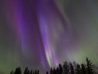 Aurora Borealis (Northern lights) in Alberta, Canada