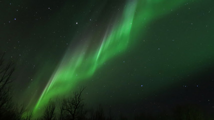 Aurora Borealis (Northern lights) in Alberta, Canada