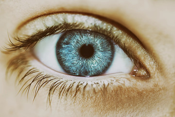 insightful look blue eyes boy