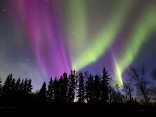Keuken foto achterwand Aurora Borealis (noorderlicht) in Alberta, Canada © Nata K