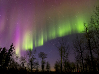 Aurora Borealis (Northern lights) in Alberta, Canada