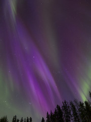 Aurora Borealis (Northern lights) in Alberta, Canada