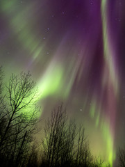 Aurora Borealis (Northern lights) in Alberta, Canada
