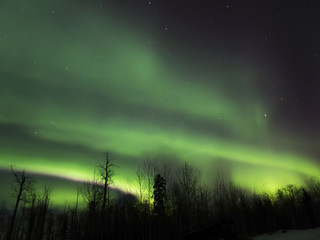 Aurora Borealis (Northern lights) in Alberta, Canada