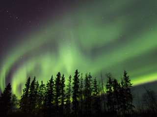 Aurora Borealis (Northern lights) in Alberta, Canada