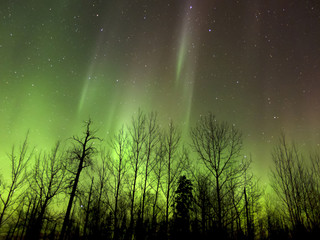 Aurora Borealis (Northern lights) in Alberta, Canada