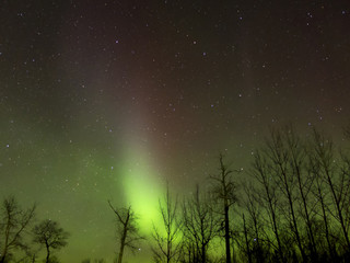Aurora Borealis (Northern lights) in Alberta, Canada