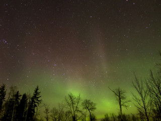 Aurora Borealis (Northern lights) in Alberta, Canada