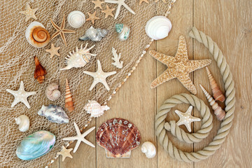 Treasures of the Sea
