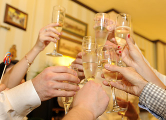 Friends holding glasses of white wine making a toast
