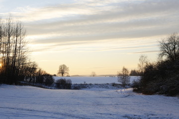 winter landscape