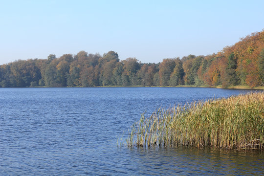 Herbstlandschaft am Liepnitzsee