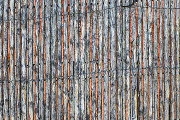 Fototapeta premium old wood texture background