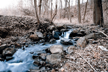 Autumn creek in the forest, spring