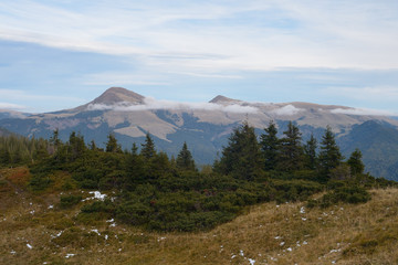 Fototapeta premium Mountain landscape with trees