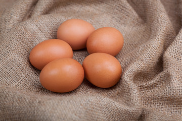 nest with eggs on sacking