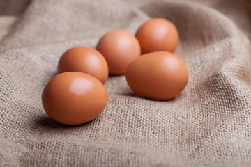 Fresh eggs scattered on sacking