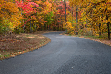 Naklejka premium Autumn Foliage Road