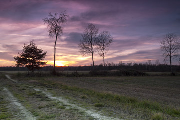 Fototapeta na wymiar Beautiful colorful countryside sunset