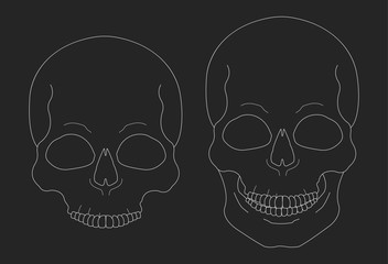 Chalk skull vector clip art