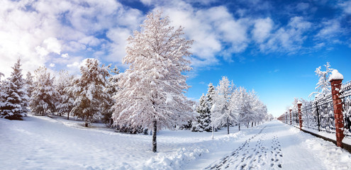 Beautiful Winter park panorama