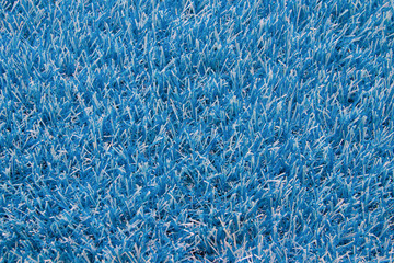 grass floor in blue color