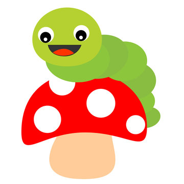 Worm  and mushroom