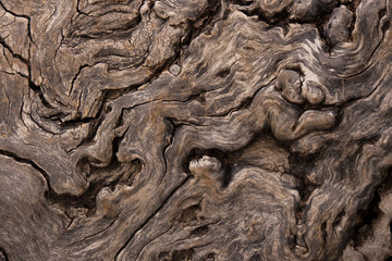 Twisted Old Wood Texture