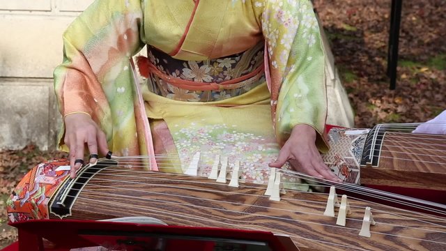 琴の演奏
